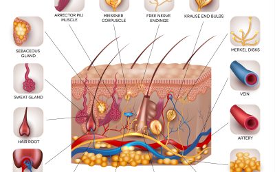 Clinical research opportunities for Charlotte, NC dermatology patients